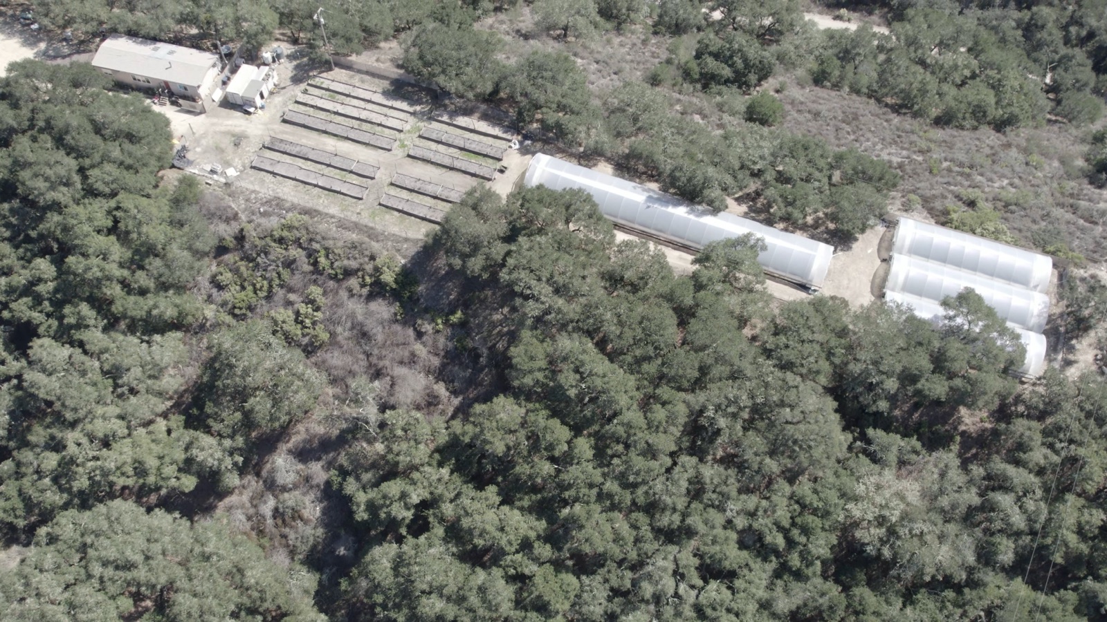 Aerial view of the SLO CAL Roots farm on the Central Coast