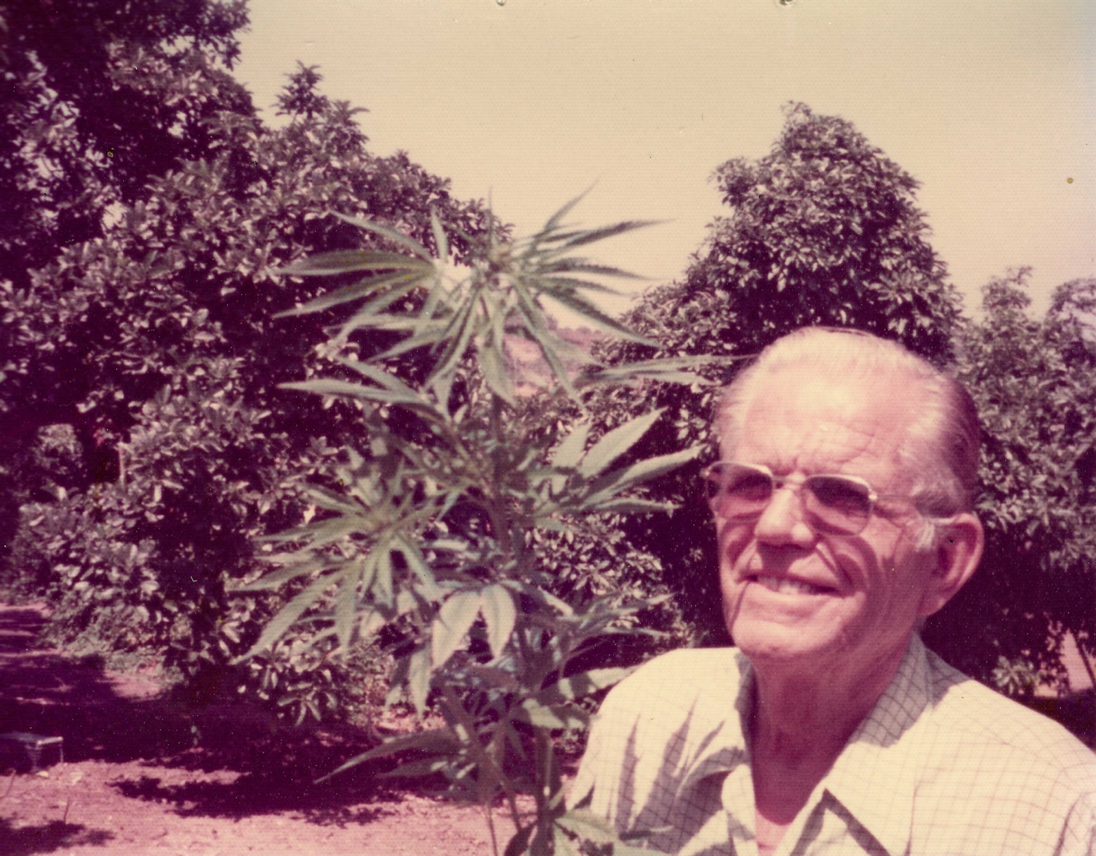 Austen's grandfather with a cannabis plant
